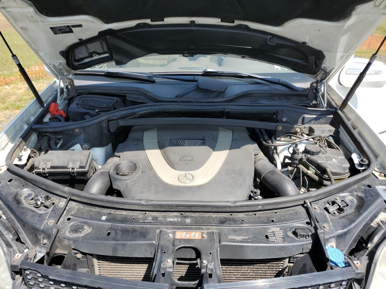 2010 Mercedes-Benz Gl 450 4Matic VIN: 4JGBF7BE0AA593858 Lot: 67915845