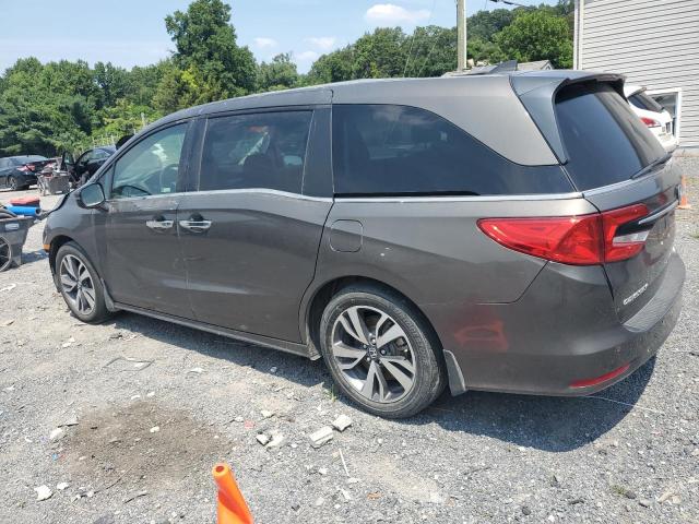  HONDA ODYSSEY 2022 Gray