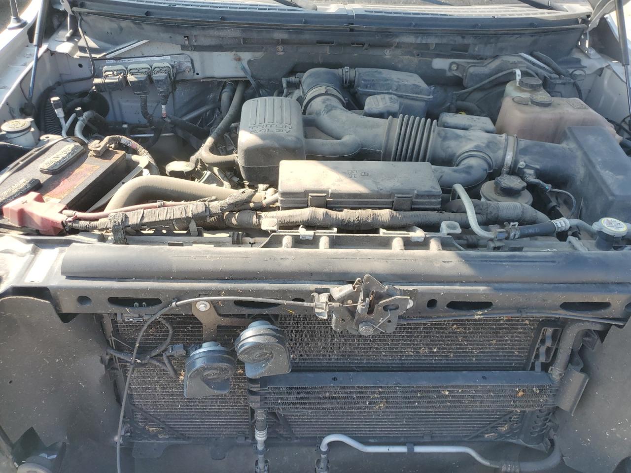2010 Ford F150 Supercrew VIN: 1FTFW1EV1AKB58436 Lot: 69184275