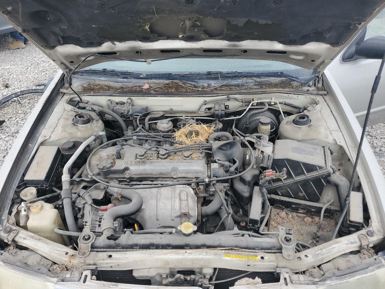 1995 Nissan Altima Xe VIN: 1N4BU31D5SC184567 Lot: 69697455