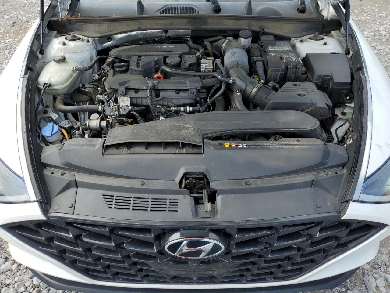 2021 Hyundai Sonata Limited VIN: 5NPEH4J28MH075494 Lot: 70661545