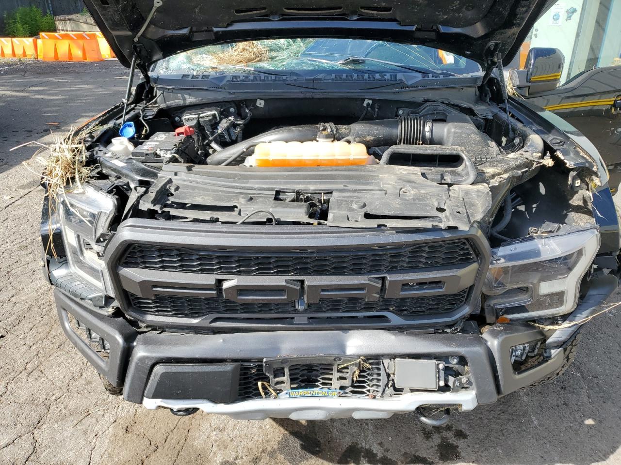 2018 Ford F150 Raptor VIN: 1FTFW1RG0JFD87145 Lot: 69488235