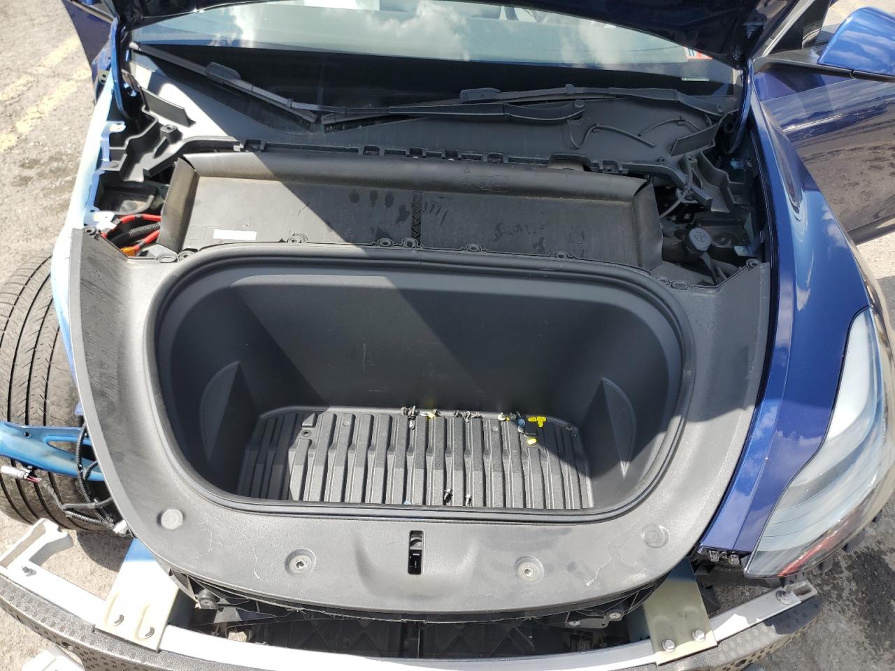 2022 Tesla Model Y VIN: 7SAYGDEF4NF556035 Lot: 69591145