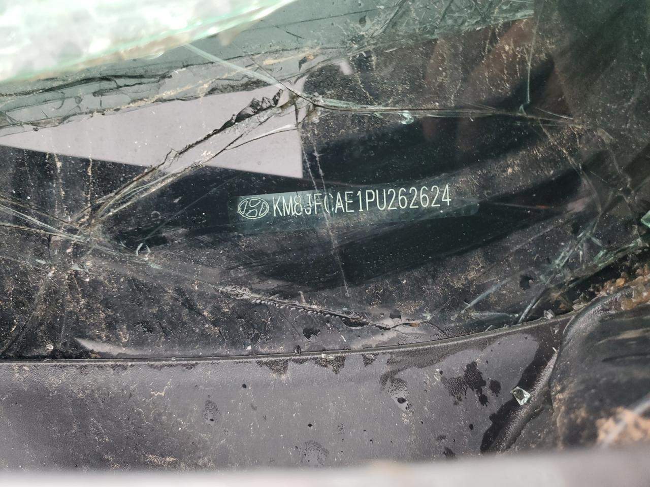 2023 Hyundai Tucson N Line VIN: KM8JFCAE1PU262624 Lot: 70211785