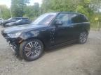 2023 LAND ROVER RANGE ROVER SE   for sale at Copart NY - NEWBURGH
