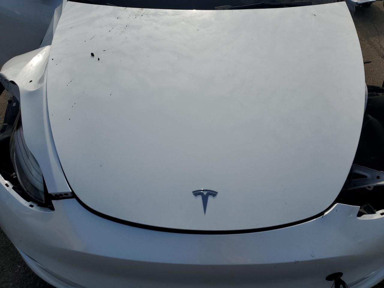 2022 Tesla Model Y VIN: 7SAYGDEF2NF382031 Lot: 67597225