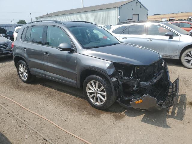 Parquets VOLKSWAGEN TIGUAN 2014 Szary