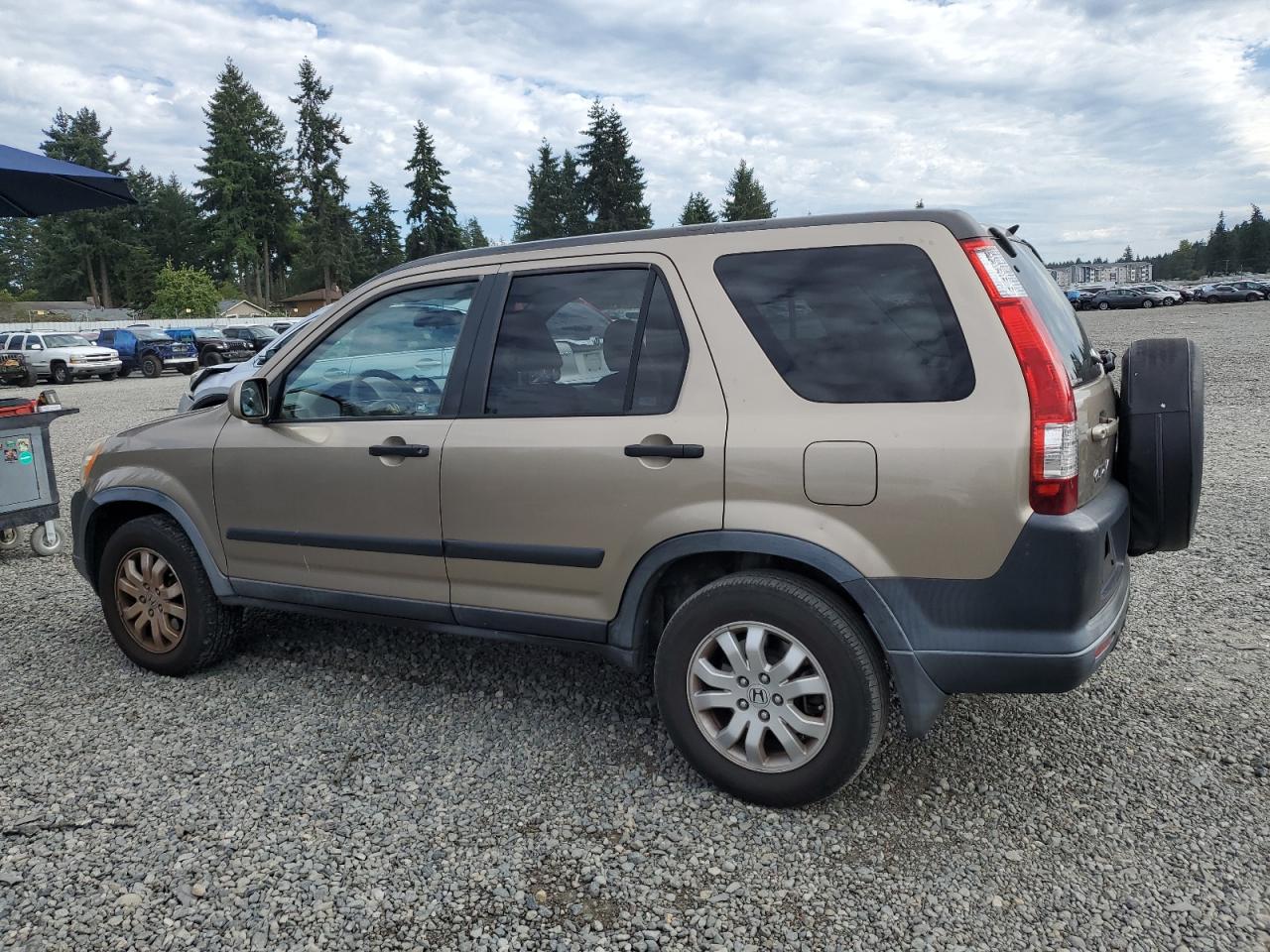 2005 Honda Cr-V Ex cream null gas JHLRD78845C021392 photo #3