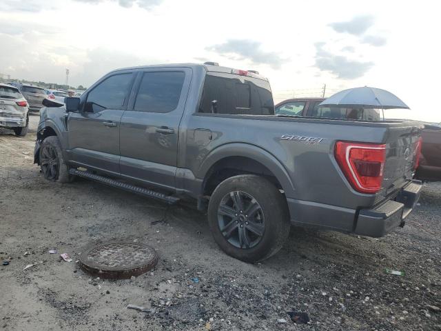  FORD F-150 2023 Серый