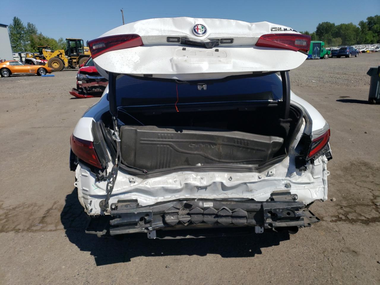 2019 Alfa Romeo Giulia VIN: ZARFAMAN6K7597969 Lot: 67563215