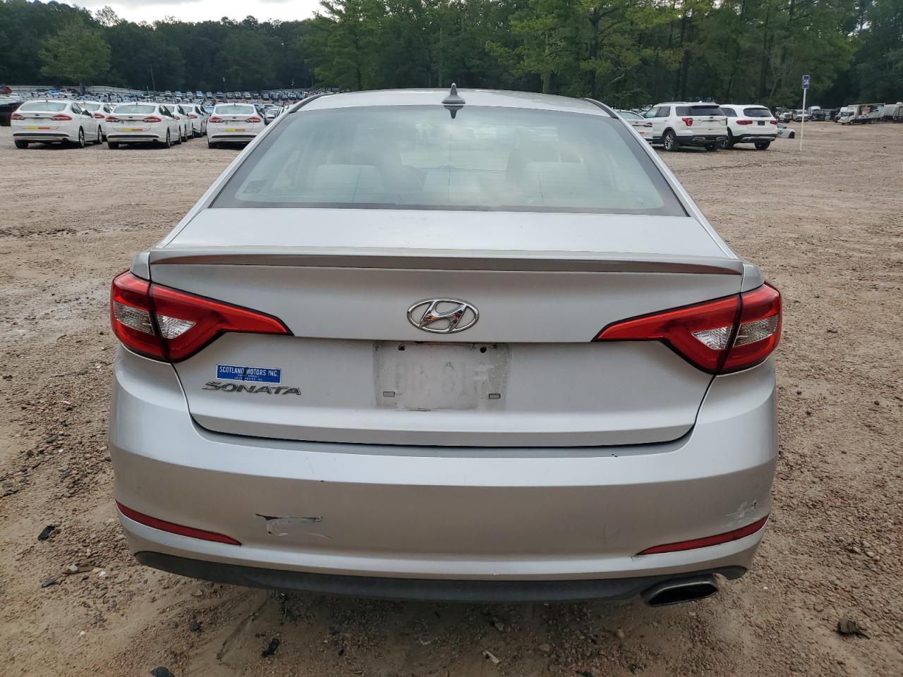 2016 Hyundai Sonata Se VIN: 5NPE24AF4GH291089 Lot: 67706535