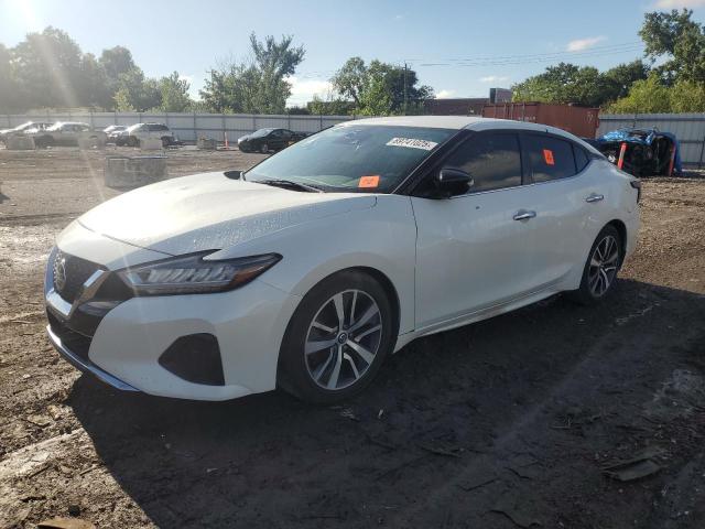  NISSAN MAXIMA 2020 White