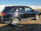 2015 KIA SORENTO EX   à vendre chez Copart AB - EDMONTON