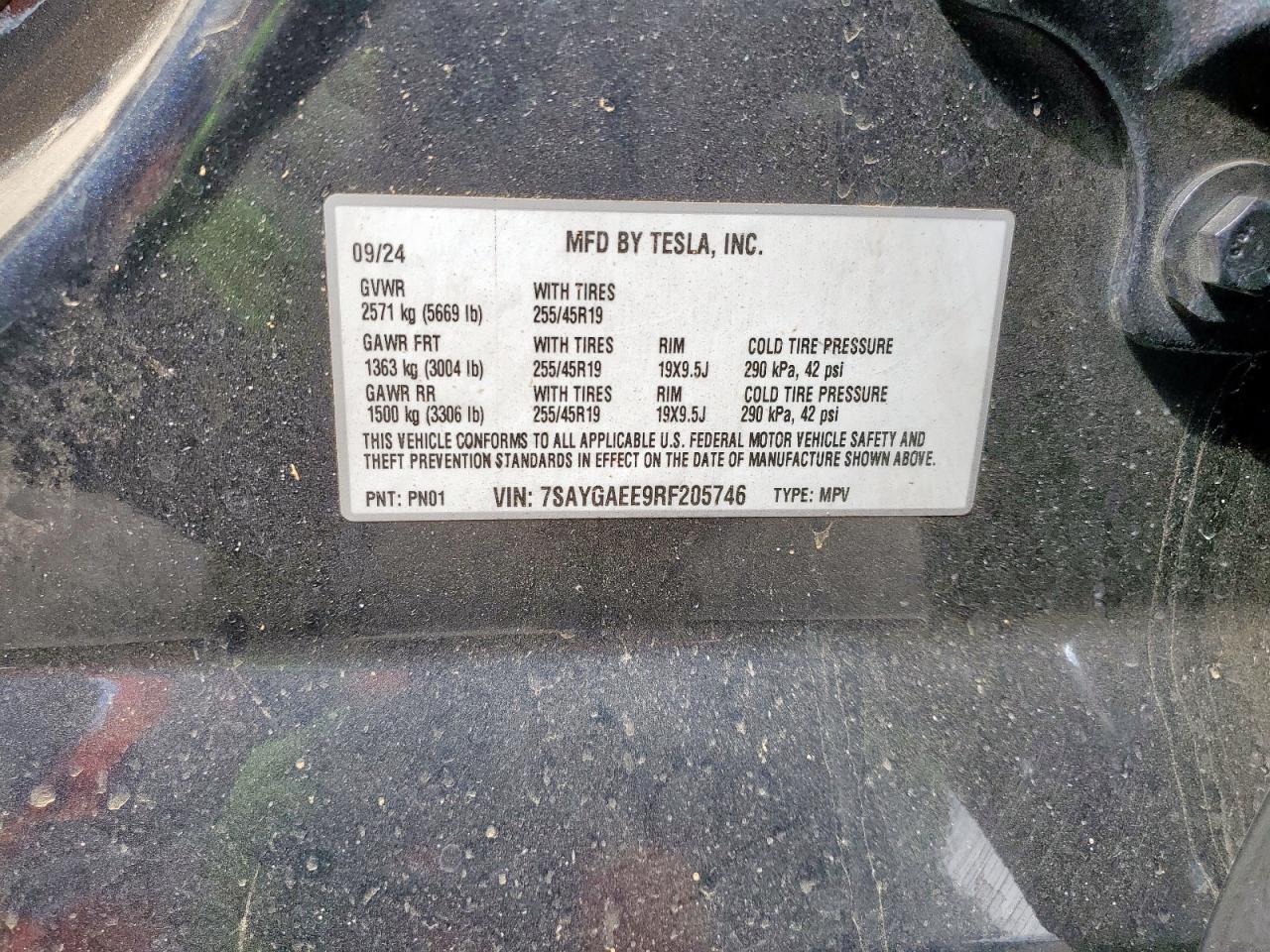 2024 Tesla Model Y VIN: 7SAYGAEE9RF205746 Lot: 69147605