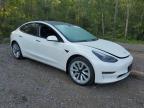 2022 TESLA MODEL 3    for sale at Copart ON - COOKSTOWN