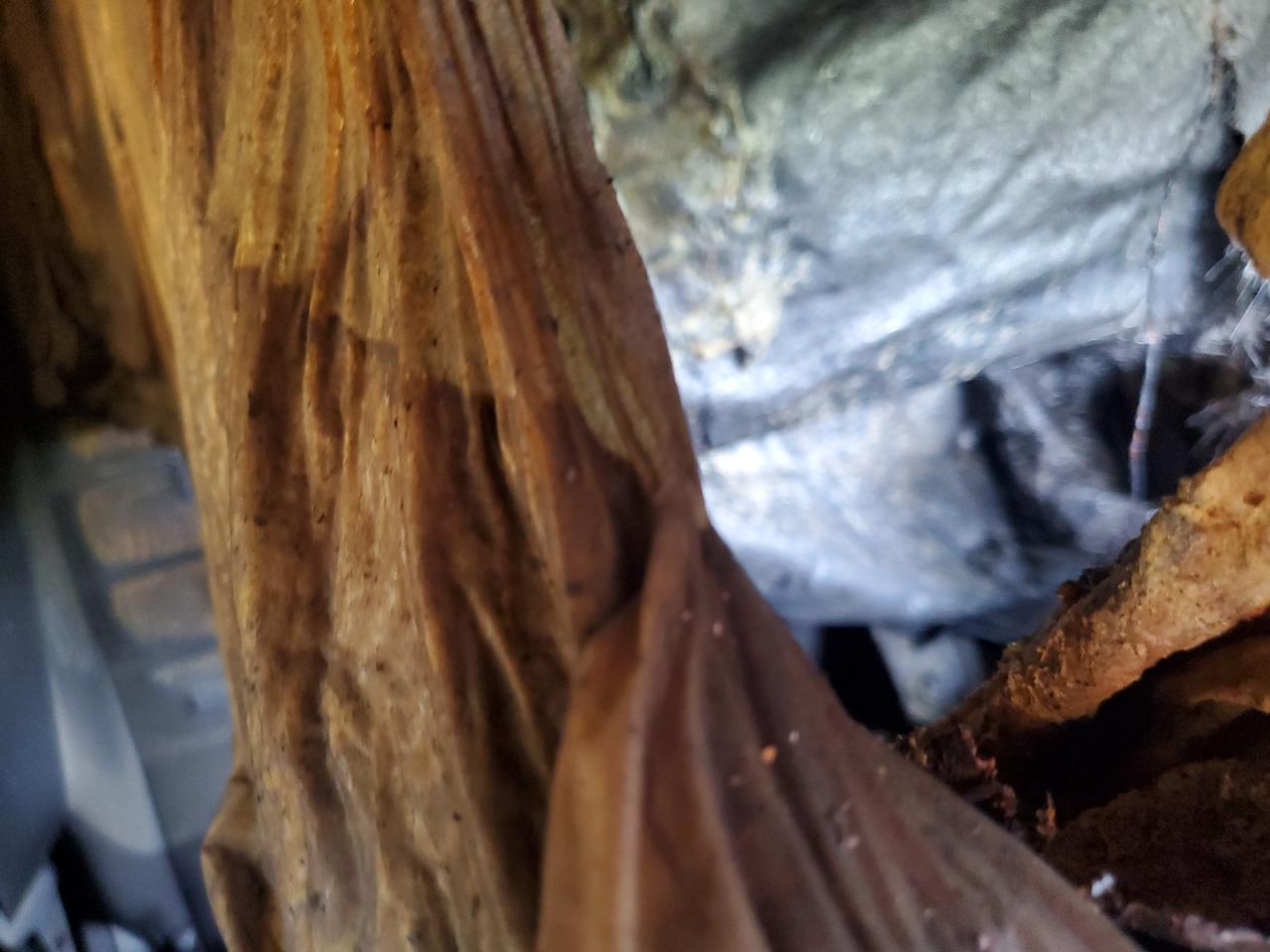 2013 Ford Escape Se VIN: 1FMCU0GX6DUD35875 Lot: 65788715