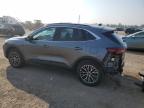 2024 FORD ESCAPE    for sale at Copart ON - LONDON