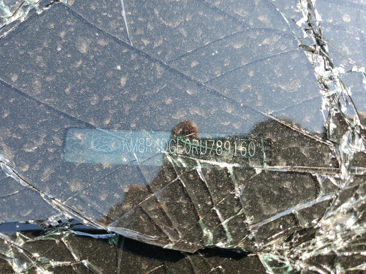 2024 Hyundai Palisade Sel Premium VIN: KM8R4DGE0RU789160 Lot: 68655085