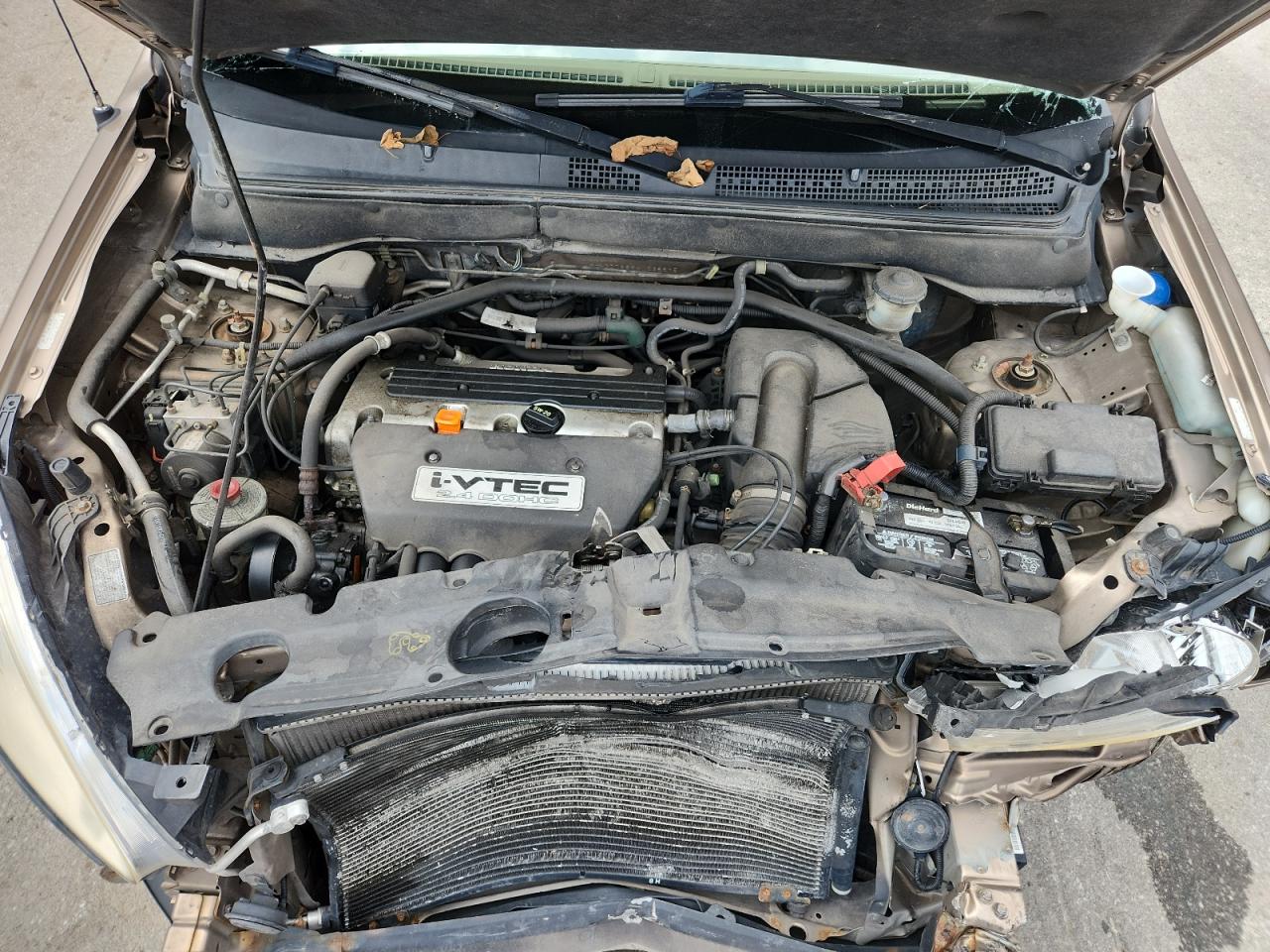 2004 Honda Cr-V Ex VIN: SHSRD78894U238895 Lot: 68627725