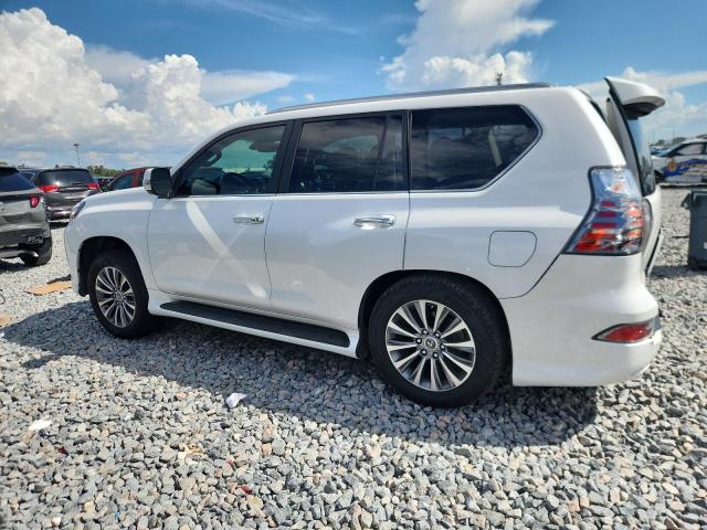  LEXUS GX 2020 Biały