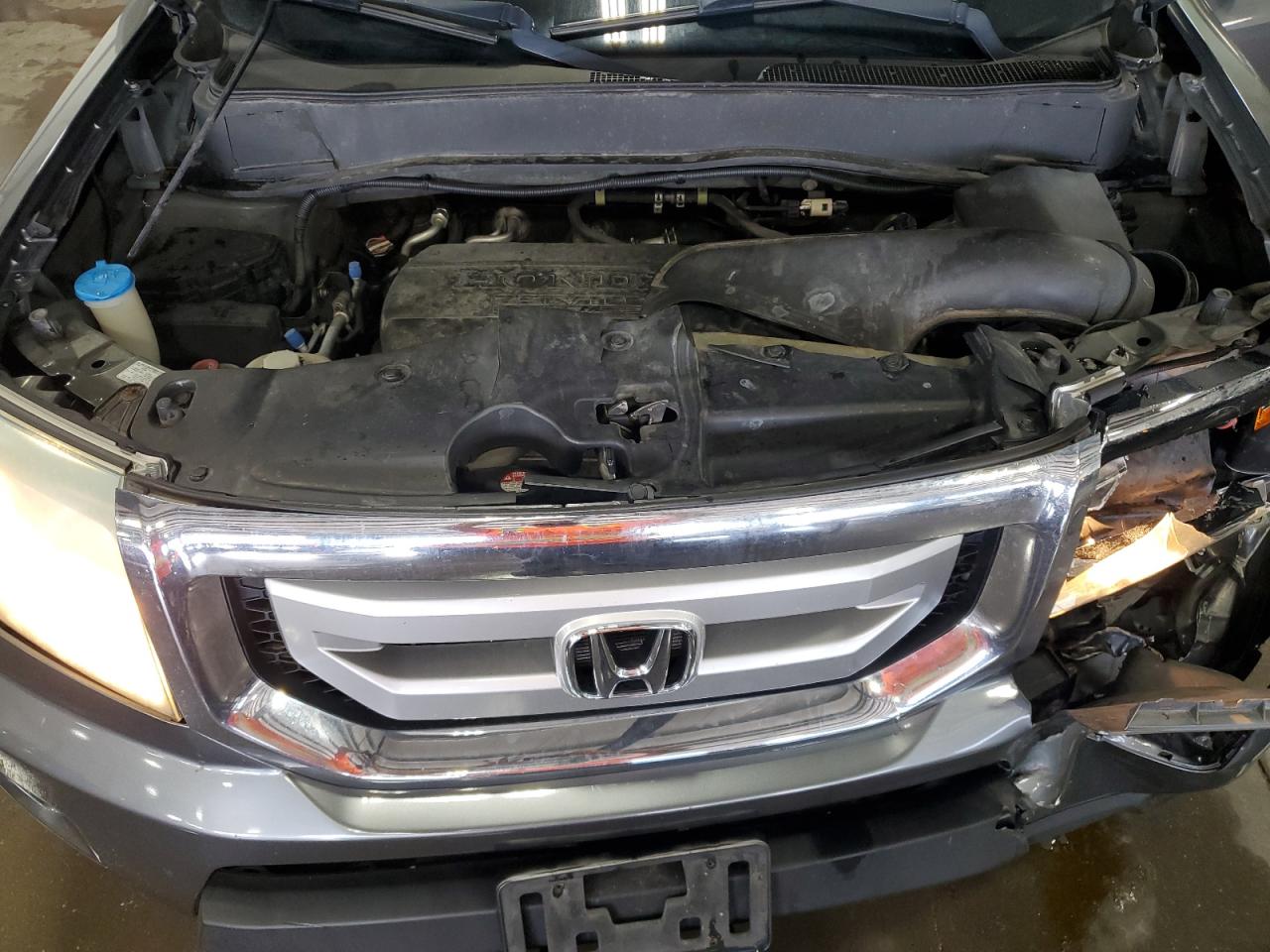 2011 Honda Pilot Exl VIN: 5FNYF4H54BB044662 Lot: 70173125