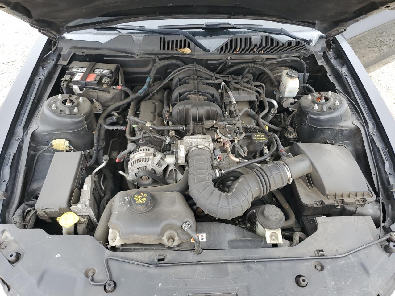 2010 Ford Mustang VIN: 1ZVBP8EN9A5168258 Lot: 68492095