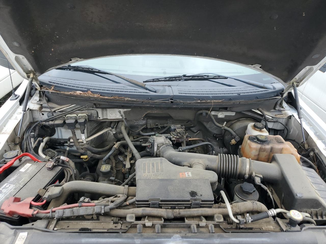 2010 Ford F150 VIN: 1FTMF1CW8AKC08610 Lot: 51230205