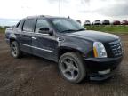 2011 CADILLAC ESCALADE EXT PREMIUM   for sale at Copart AB - CALGARY