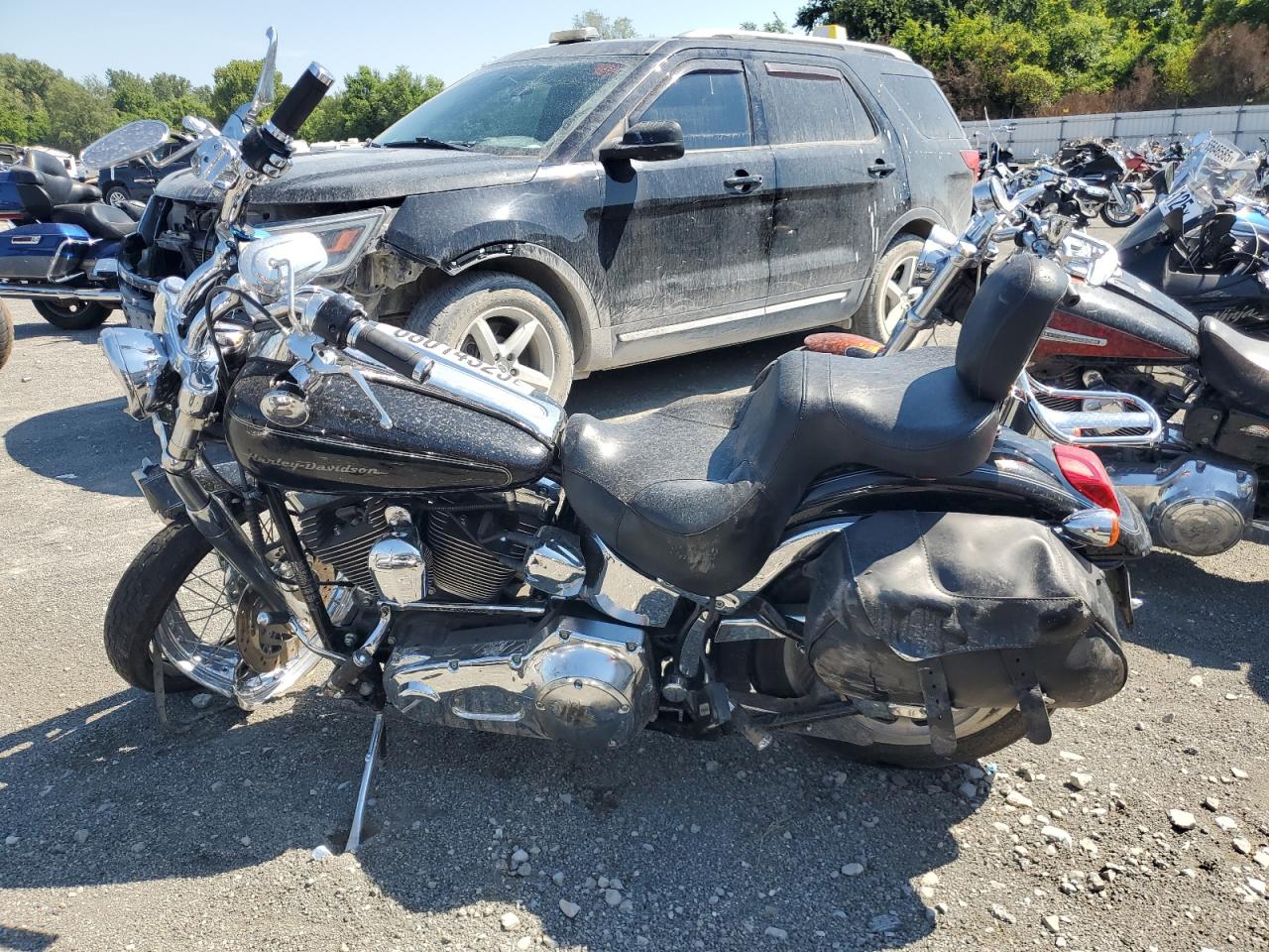 2004 Harley-Davidson Fxstdi black null gas 1HD1JBB164Y041838 photo #4