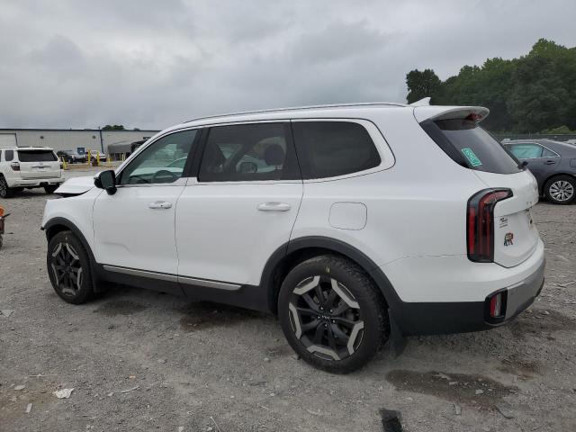  KIA TELLURIDE 2023 Белы