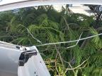 2012 BENTLEY CONTINENTAL GT   for sale at Copart FL - MIAMI CENTRAL