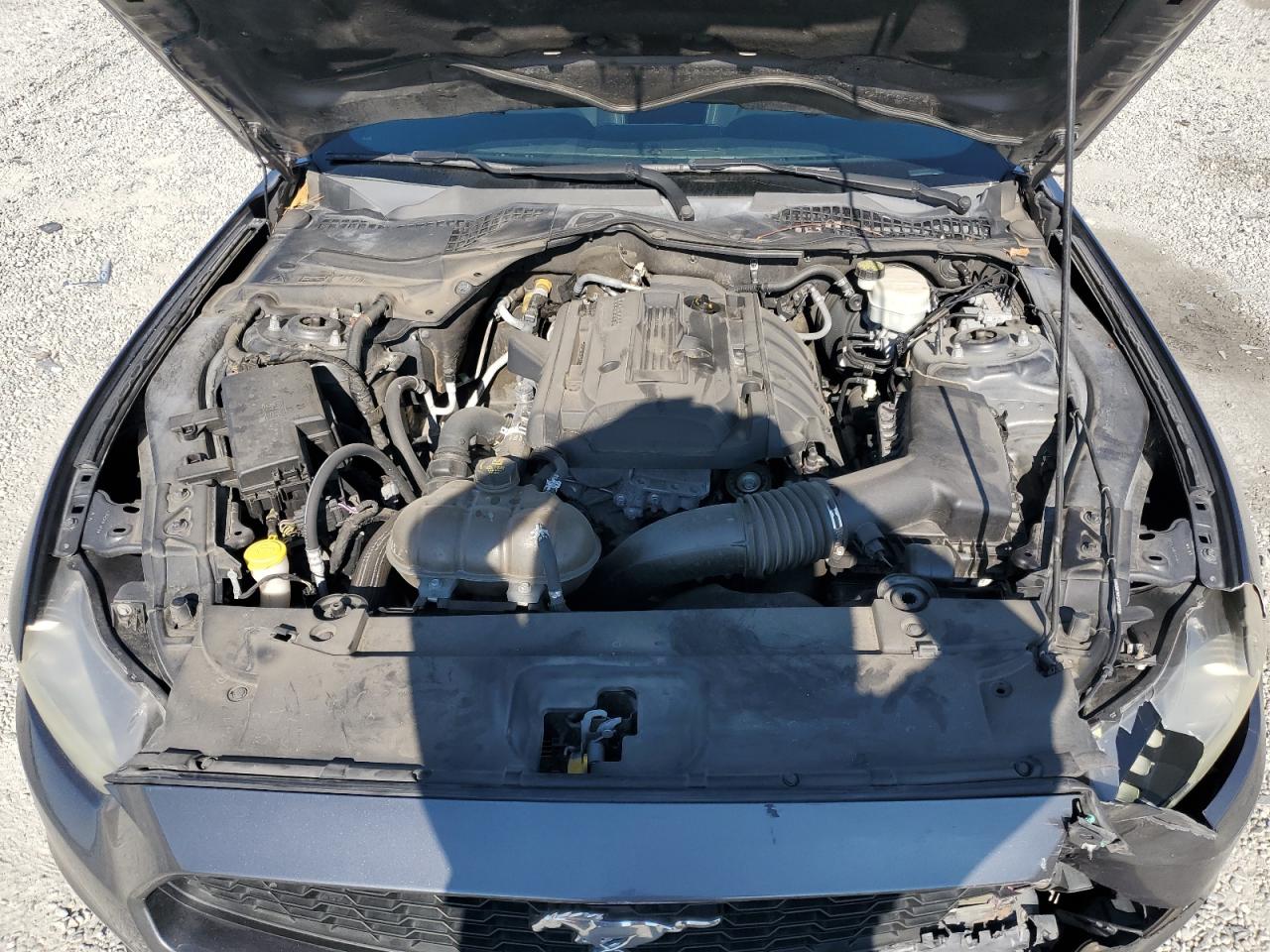 2015 Ford Mustang VIN: 1FA6P8TH6F5392246 Lot: 67551675