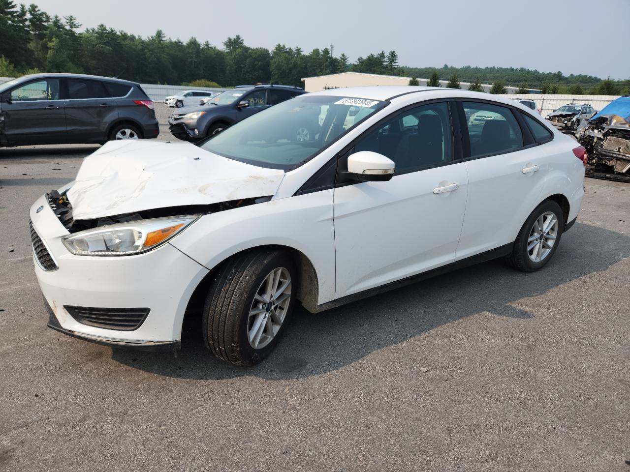 2016 Ford Focus Se white sedan gas 1FADP3F20GL400789 photo #1