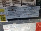 2024 NORSTAR IRONBULL DUMP TRAILER for sale at Copart TX - WACO