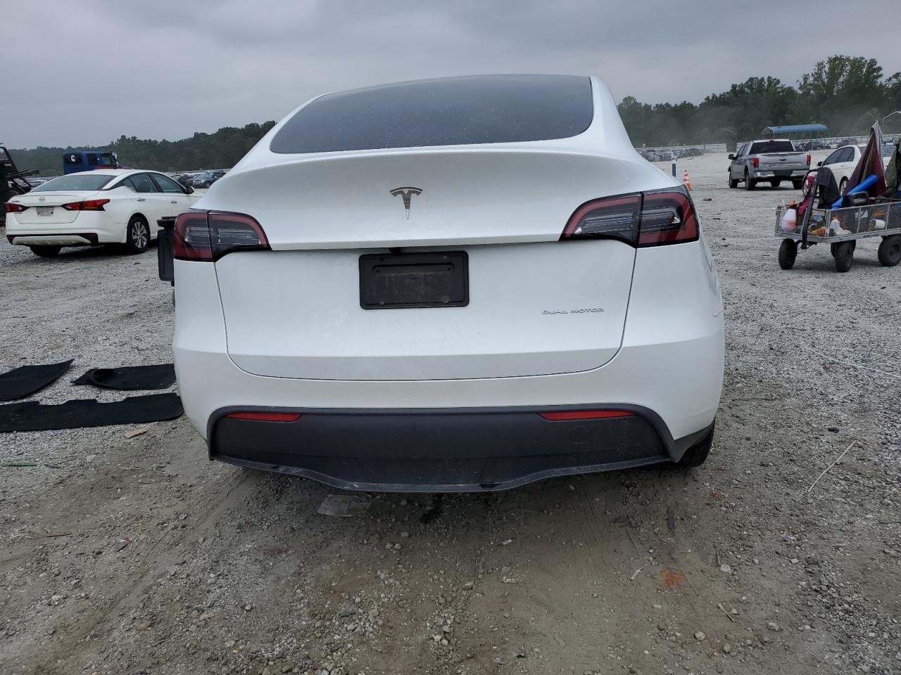 2023 Tesla Model Y VIN: 7SAYGDEE3PA147497 Lot: 69427455