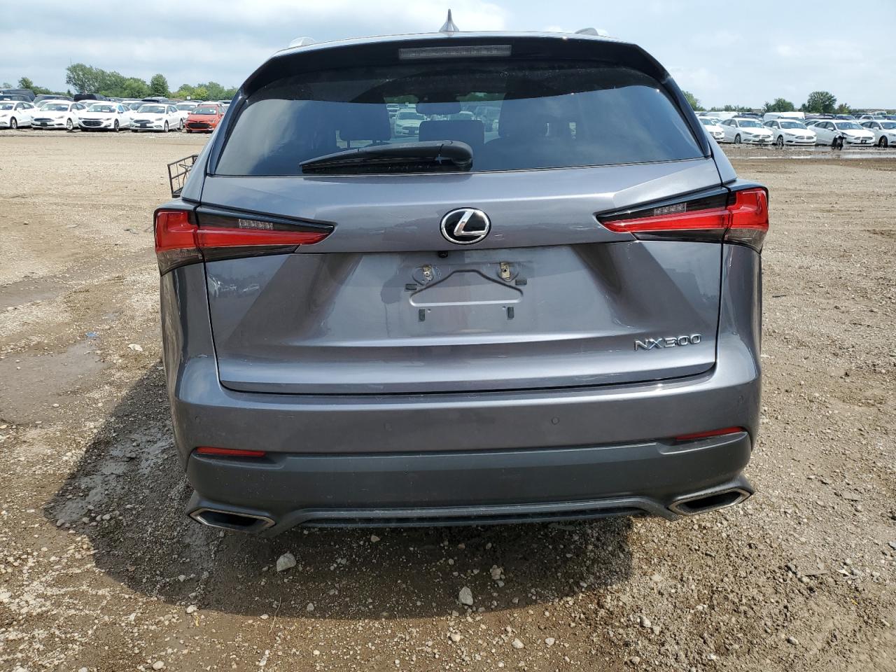 2018 Lexus Nx 300 Base VIN: JTJBARBZ1J2171588 Lot: 69283185