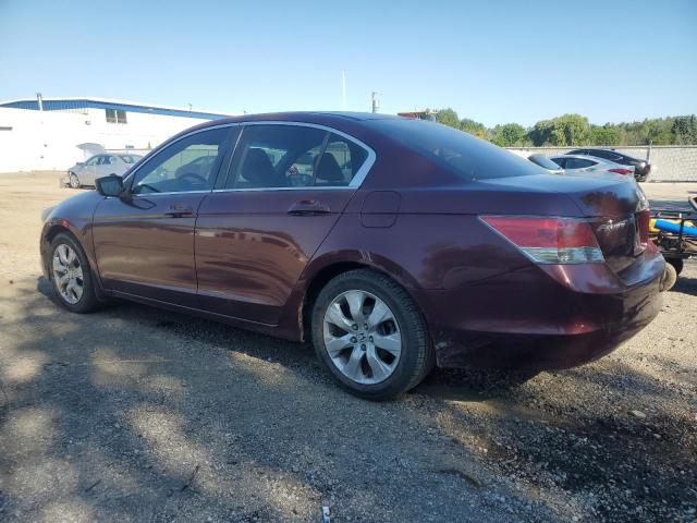 2009 HONDA ACCORD EXL  