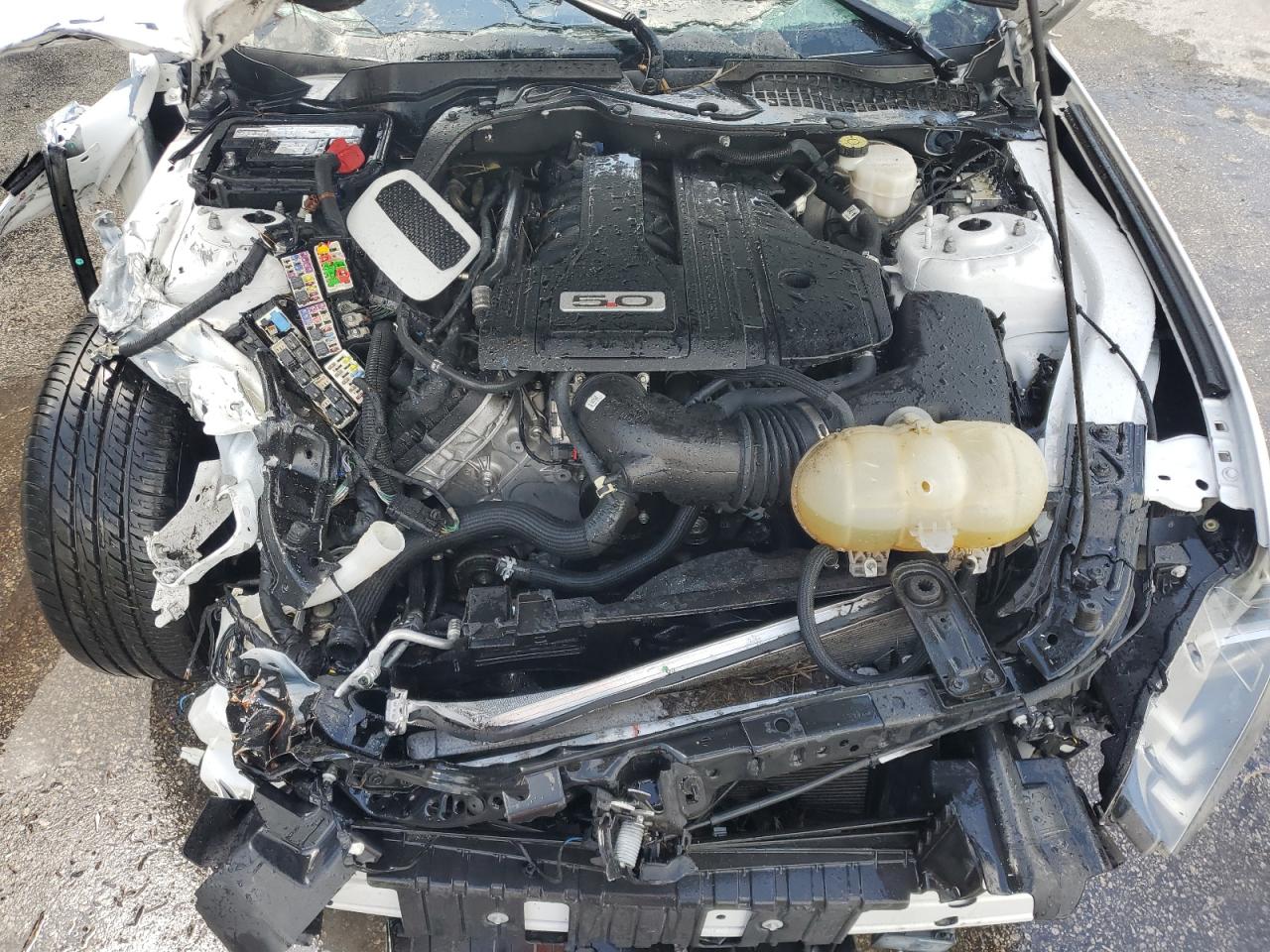 2022 Ford Mustang Gt VIN: 1FA6P8CF3N5131086 Lot: 69738555