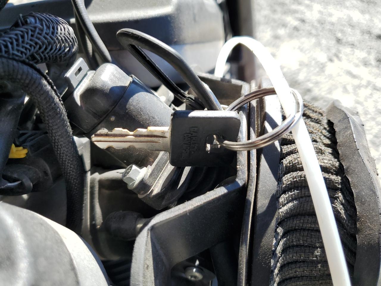 2010 Harley-Davidson Xl883 N VIN: 1HD4LE216AC420596 Lot: 69830775