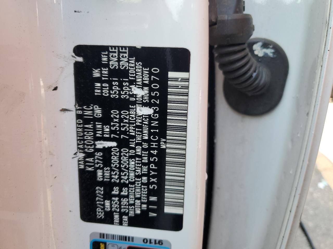 2022 Kia Telluride Sx VIN: 5XYP54HC1NG325070 Lot: 67021805