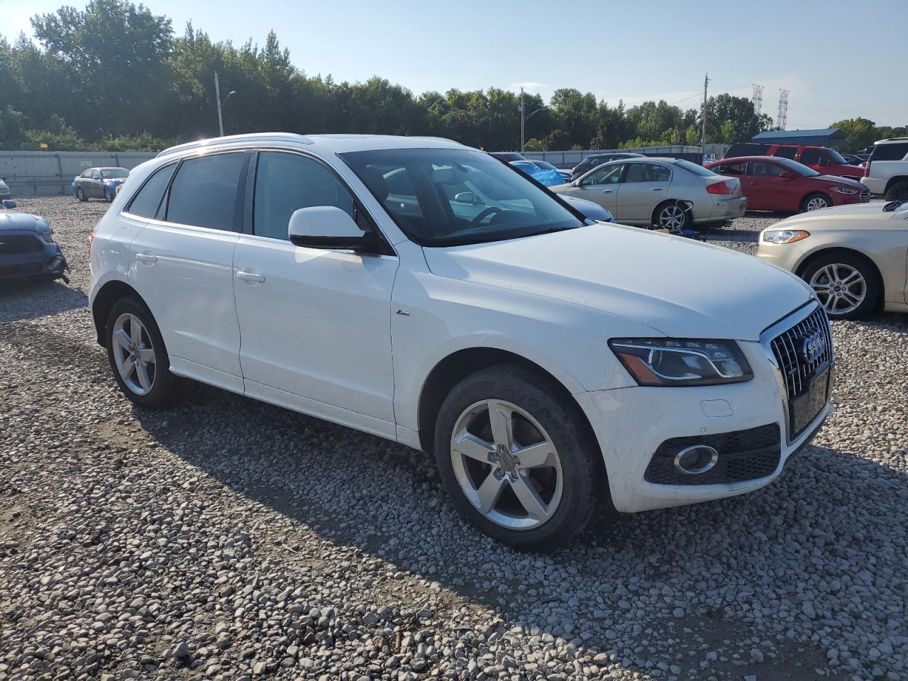 Фото: WA1DKAFP1BA021226