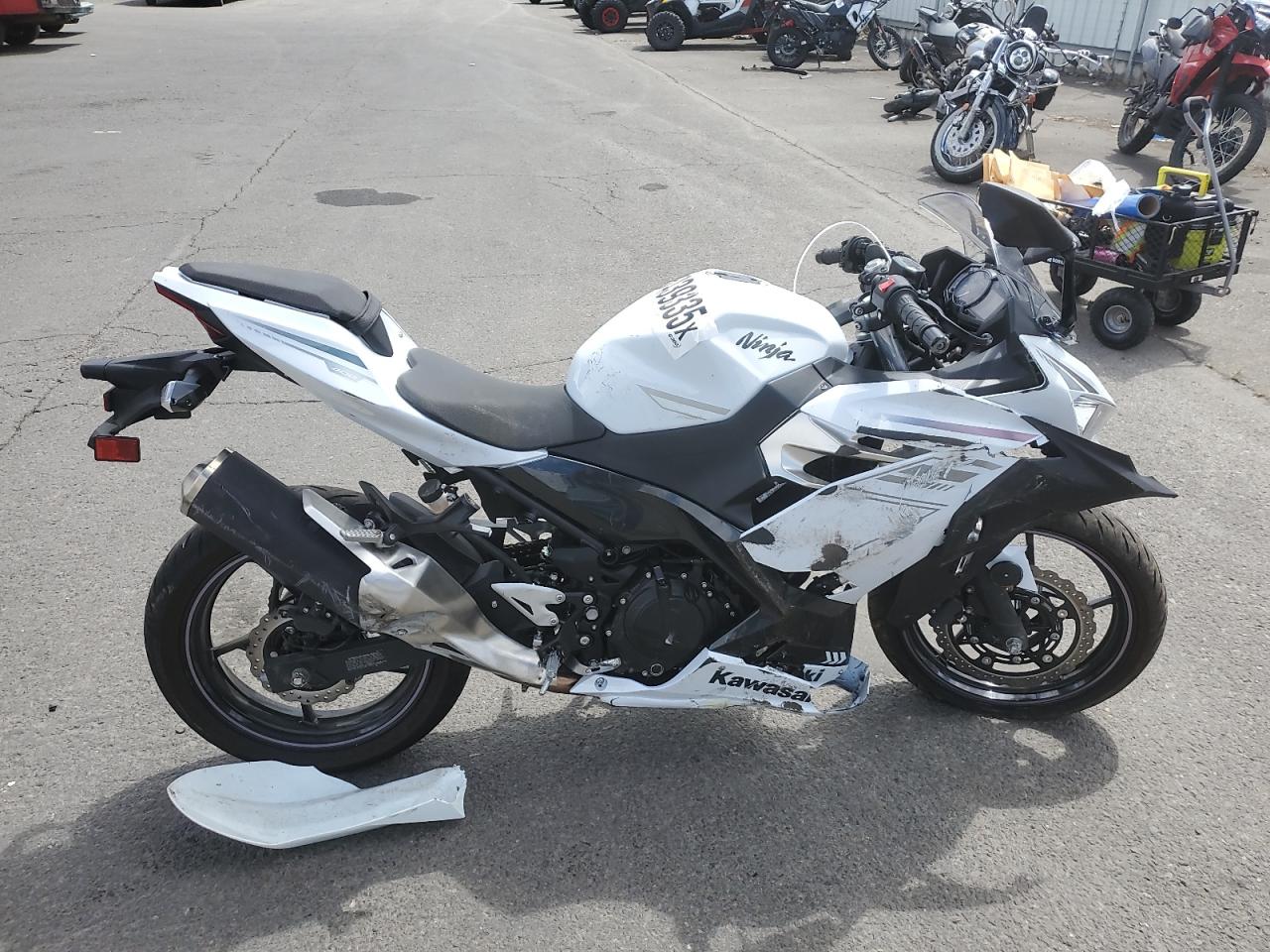 wccf      EX      フォスター F21-6 LE】エンツォ・シーフォ ☆5 WS | WCCF FOOTISTA,WCCF