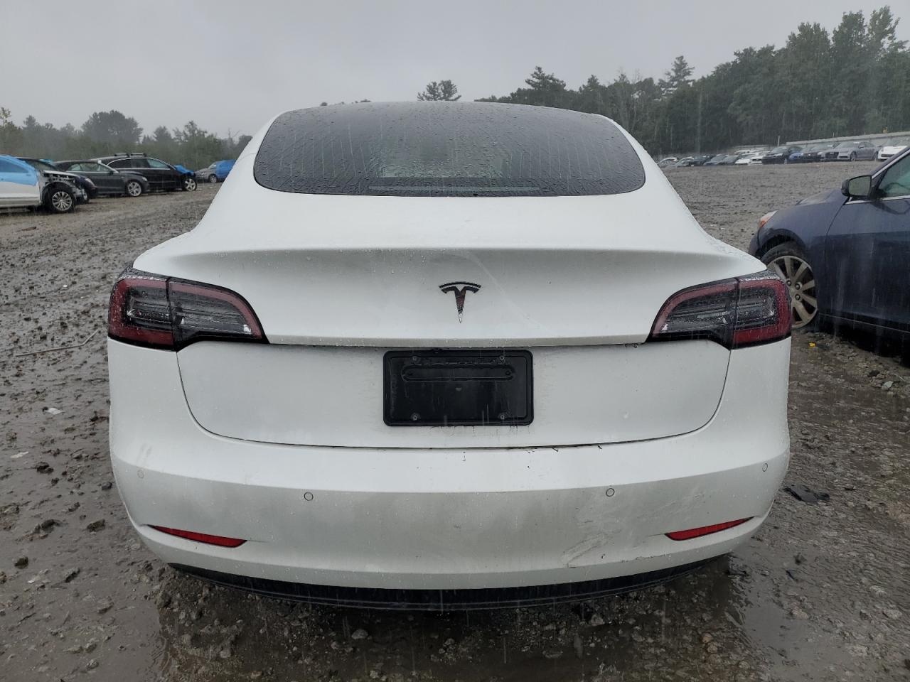 2020 Tesla Model 3 VIN: 5YJ3E1EA8LF737622 Lot: 68411733