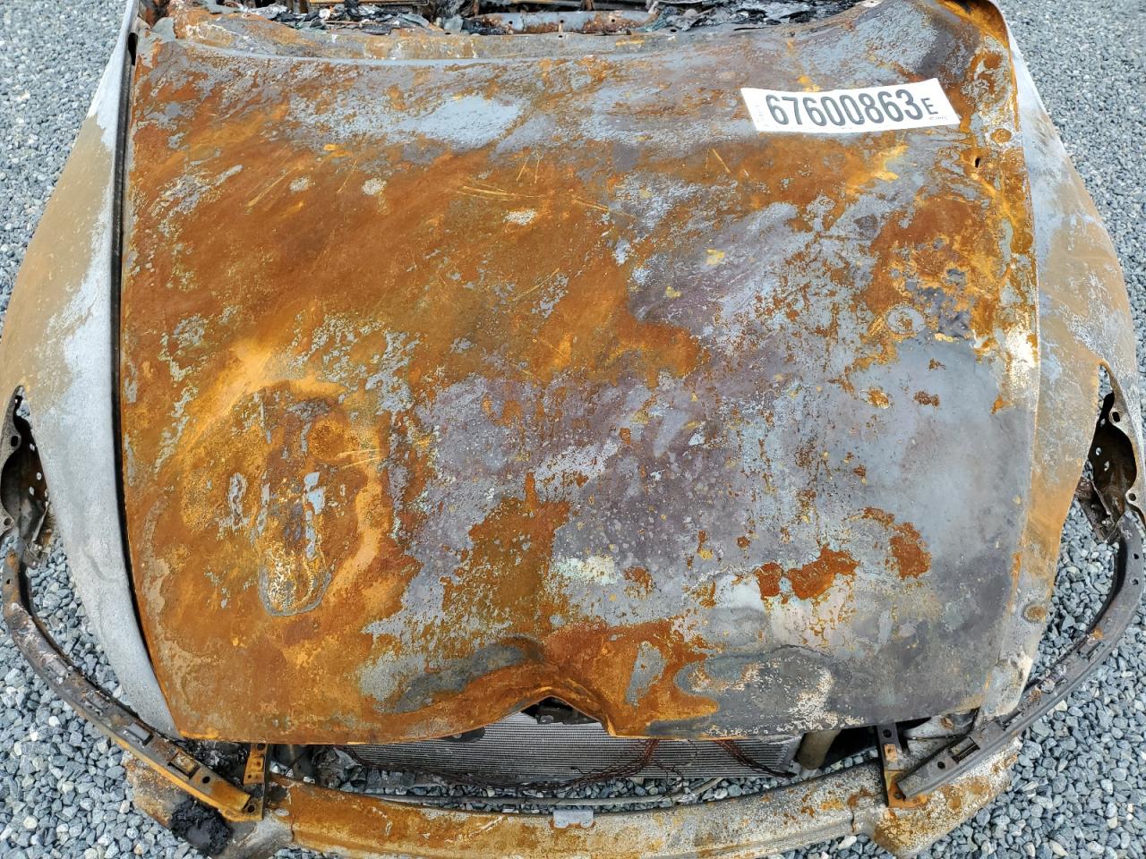 2006 Honda Accord Ex VIN: 1HGCM66596A068101 Lot: 59403114