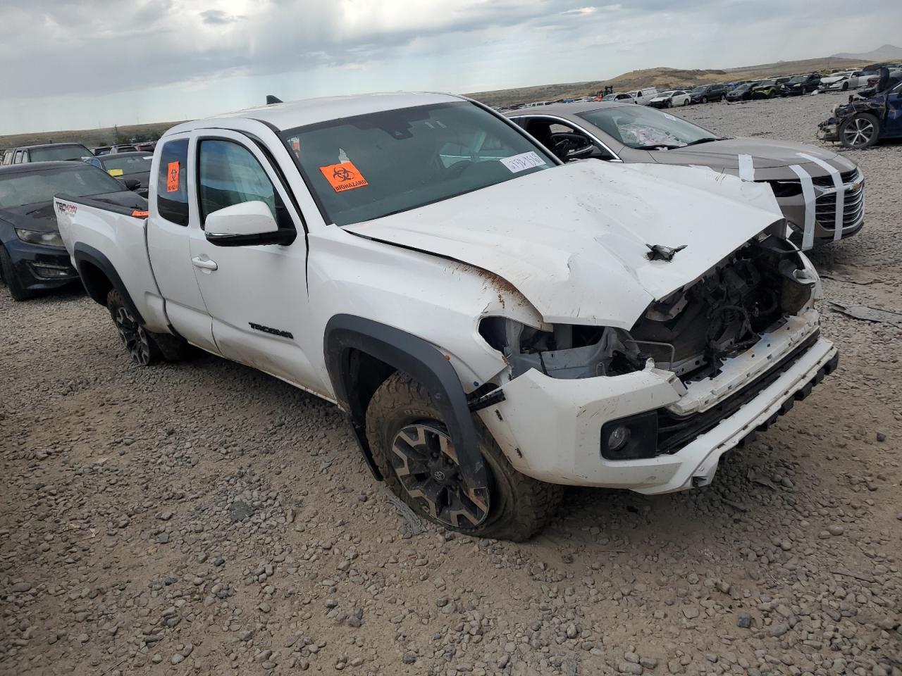 2019 Toyota Tacoma Access Cab VIN: 5TFSZ5AN2KX192473 Lot: 67529563