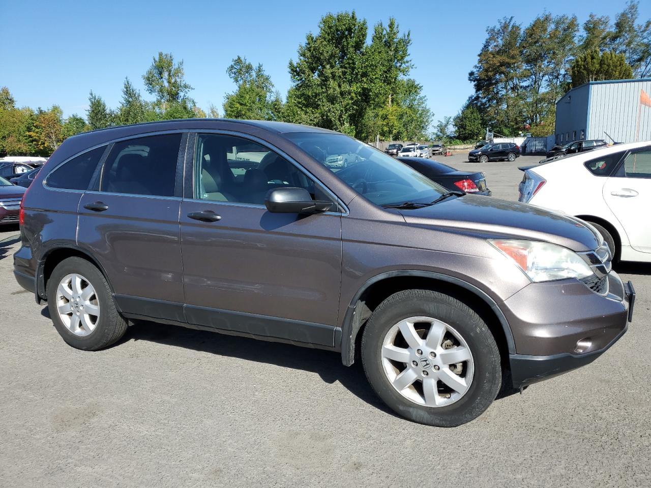 2011 Honda Cr-V Se VIN: 5J6RE4H41BL012855 Lot: 68681293