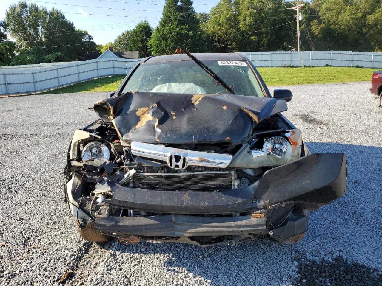 2008 Honda Cr-V Exl VIN: 5J6RE387X8L000748 Lot: 80983895