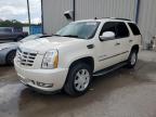 2009 Cadillac Escalade  zu verkaufen in Apopka, FL - Hail