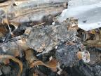 2005 Nissan Murano Sl for Sale in Memphis, TN - Burn - Engine
