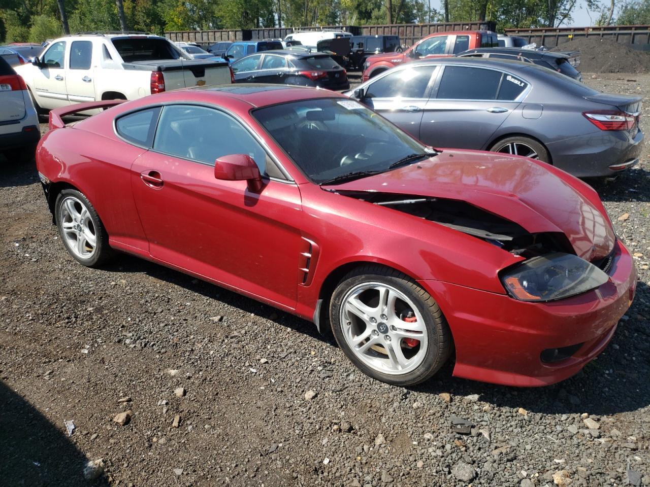 2006 Hyundai Tiburon Gt VIN: KMHHN65F26U220239 Lot: 67067973